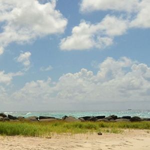 Barbados Flight Deals