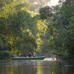 Borneo Vacations