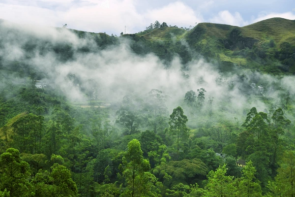 Sri Lanka Wildlife Holiday