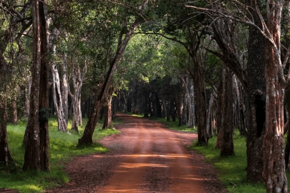 Sri Lanka Wildlife Holiday