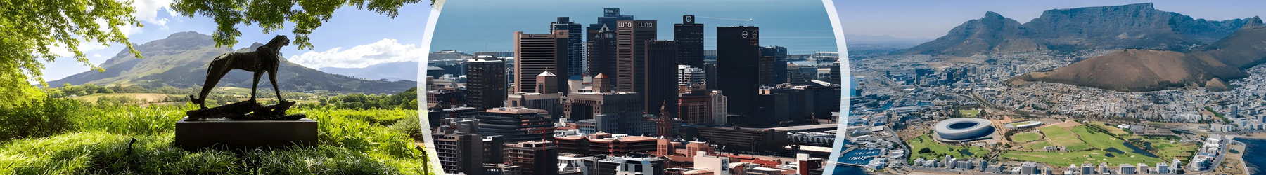 Cape Town & Stellenbosch