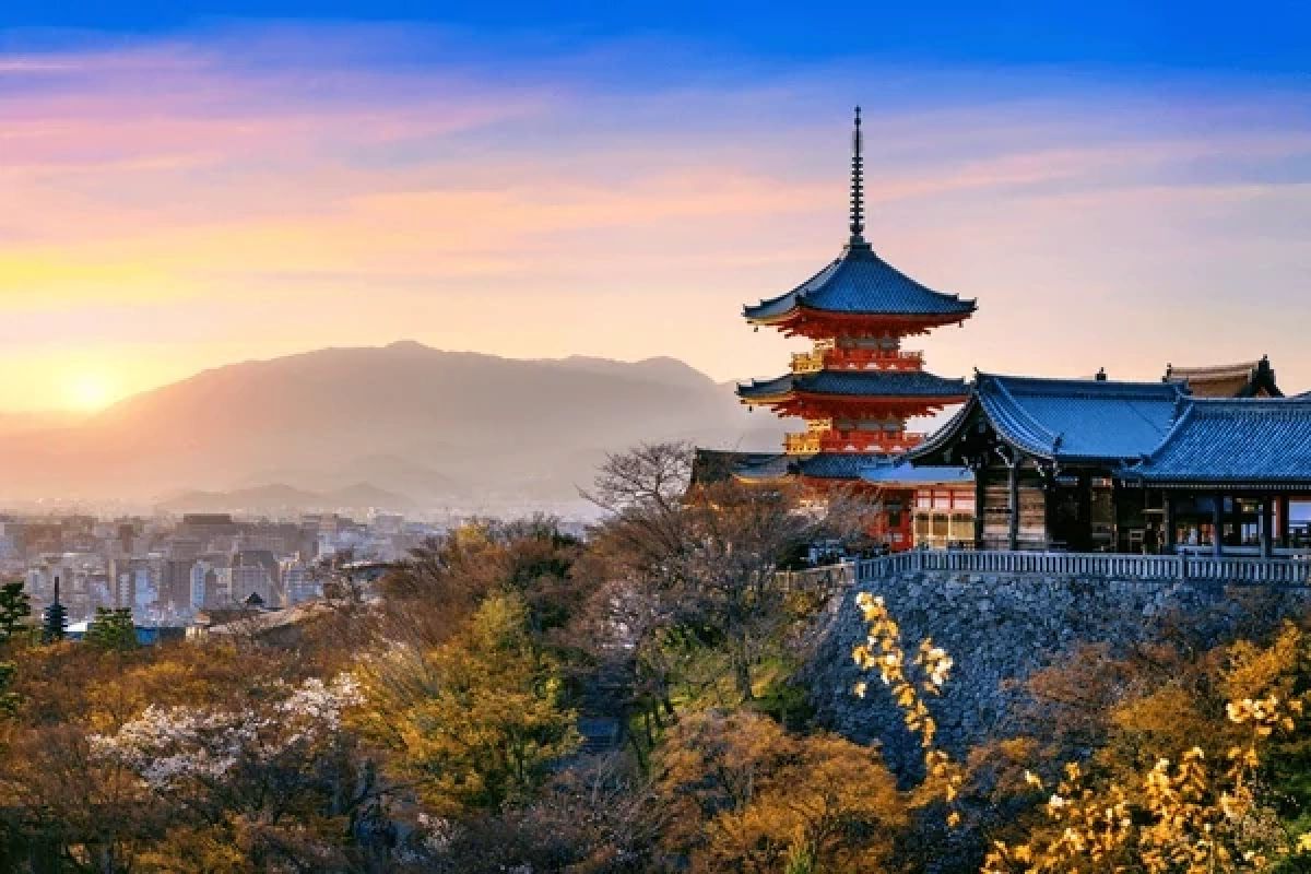 Japan & Indonesia