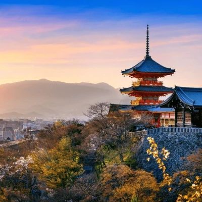 Japan & Indonesia
