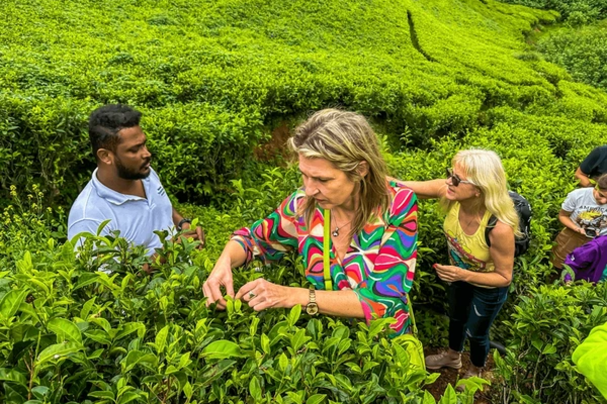 Vietnam & Sri Lanka