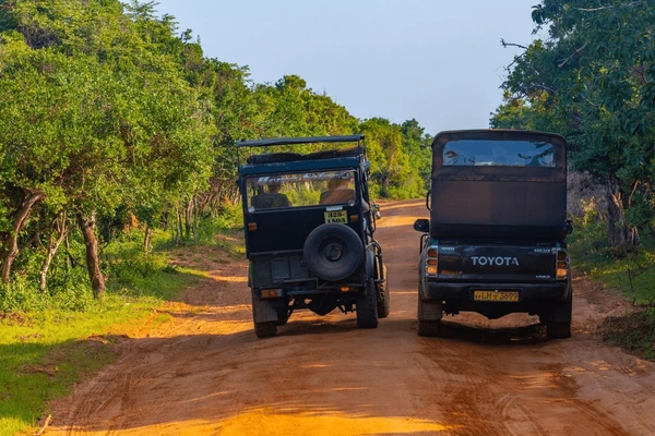 Sri Lanka Holidays
