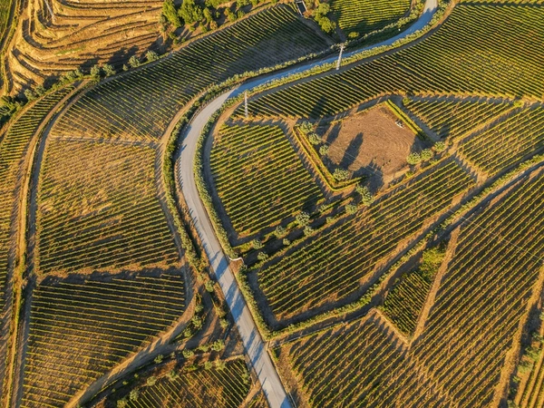 Porto, Douro Valley & Salamanca