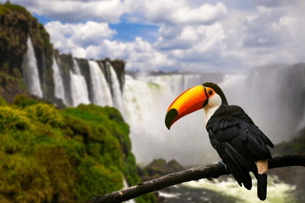 Argentina & Brazil Highlights