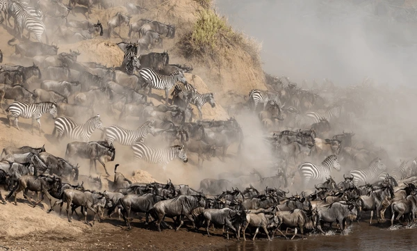 Ultimate Kenya Journey: Big Five Safari & All-Inclusive Diani Retreat