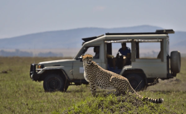 Ultimate Kenya Journey: Big Five Safari & All-Inclusive Diani Retreat