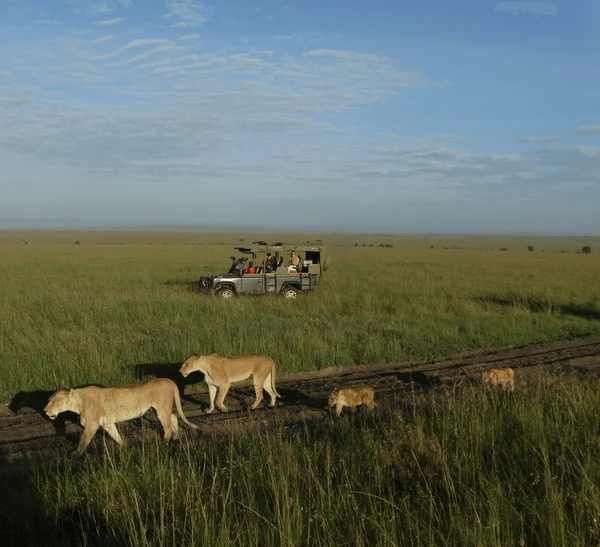 Ultimate Kenya Journey: Big Five Safari & All-Inclusive Diani Retreat