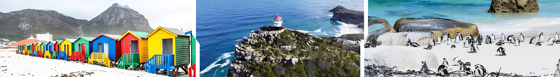 Cape Town & Stellenbosch: The Ultimate Coast & Wine Journey - 7 Nights
