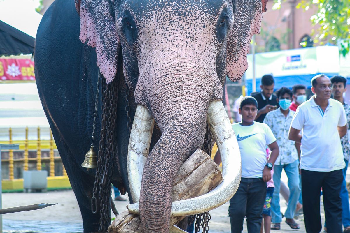 Luxury India & Sri Lanka - 12 Nights
