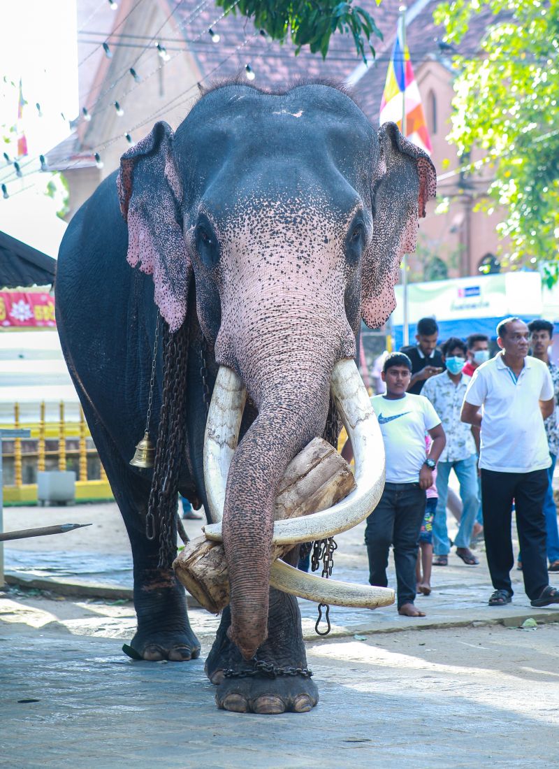 Luxury India & Sri Lanka - 12 Nights
