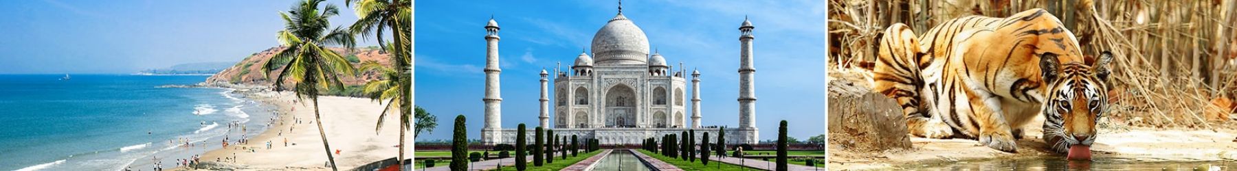 Golden Triangle & Ranthambore Tiger Safari with Goa Retreat – 12 Nights