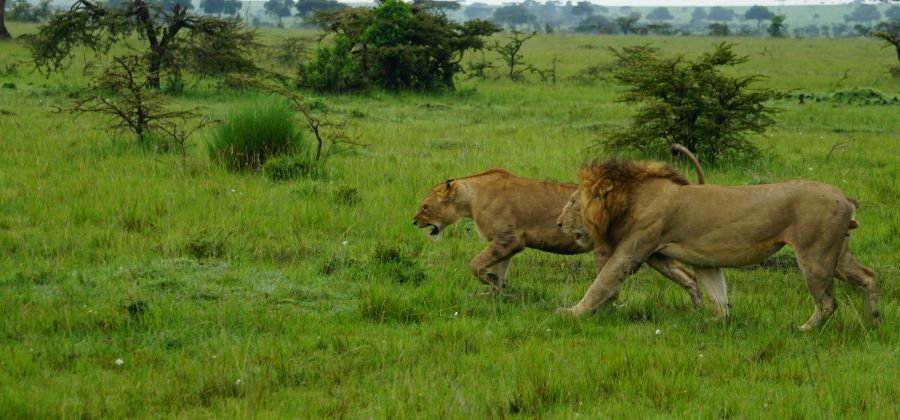 Kenya & Tanzania – 10 Nights