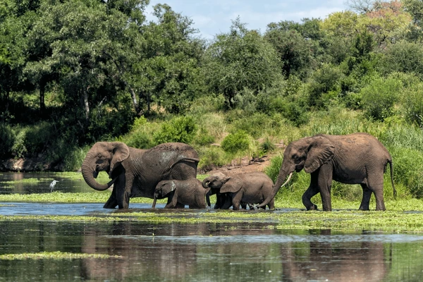 Johannesburg Holiday