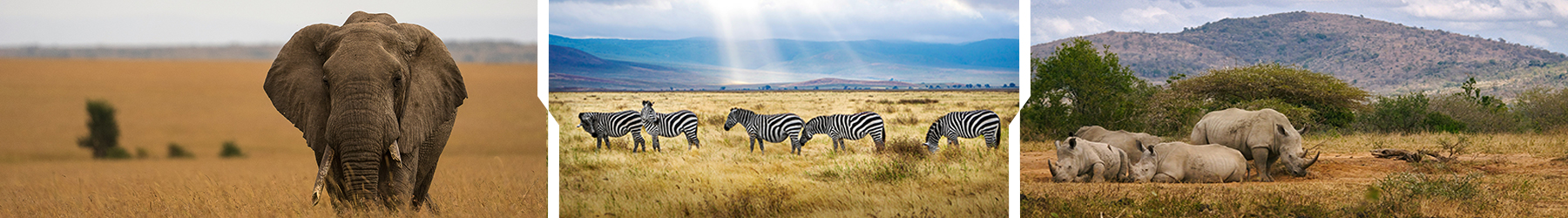 Journey Through the Wild: Kenya & Tanzania – 10 Nights