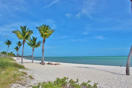 Key West Flight Deals