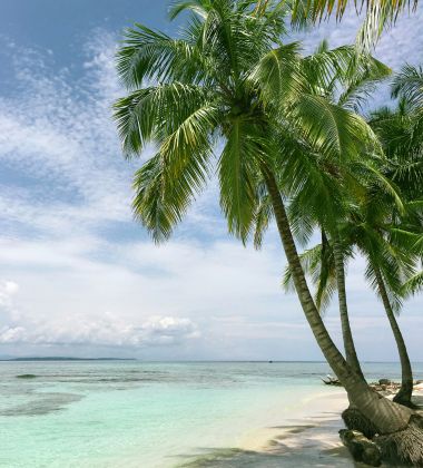 Ultimate Kenya Journey: Big Five Safari & All-Inclusive Diani Retreat – 9 Nights