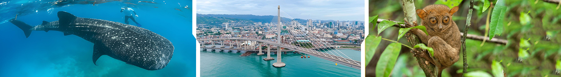 Island & City Wonders: 10 Nights Across Manila, Bohol & Cebu South