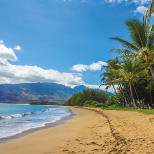 Maui Flight Deals