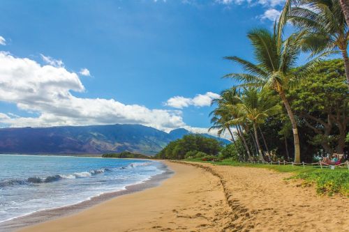 Maui Flight Deals