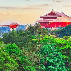 Okinawa Vacation