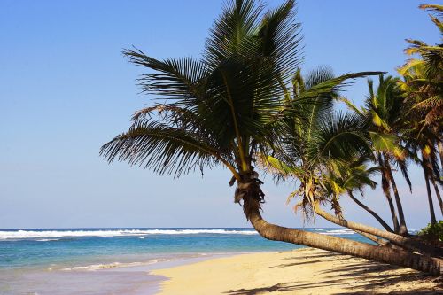 Punta Cana Vacation Deals