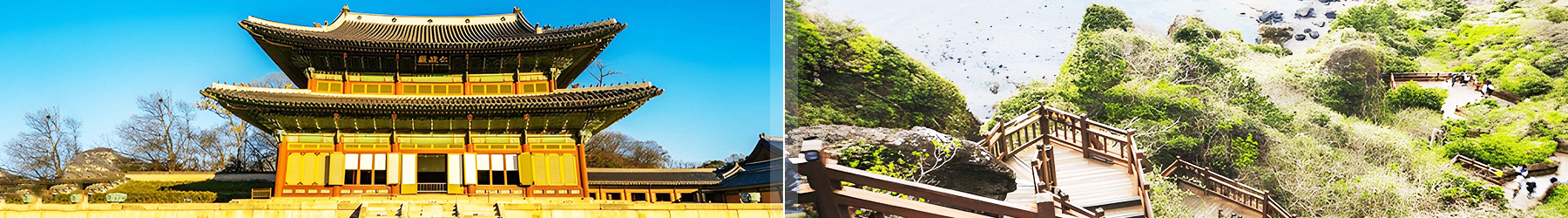 South Korea Adventure: Seoul & Jeju Island Getaway – 7 Nights