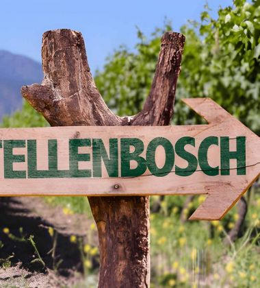 Cape Town & Stellenbosch