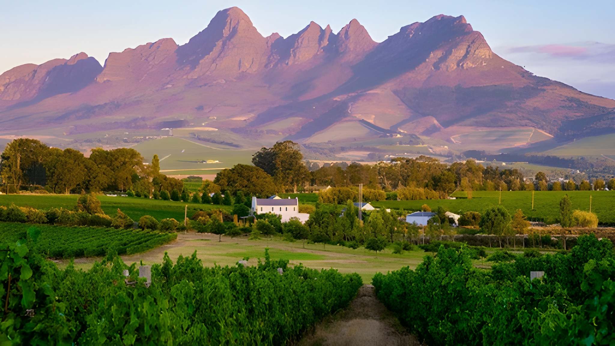 Cape Town & Stellenbosch
