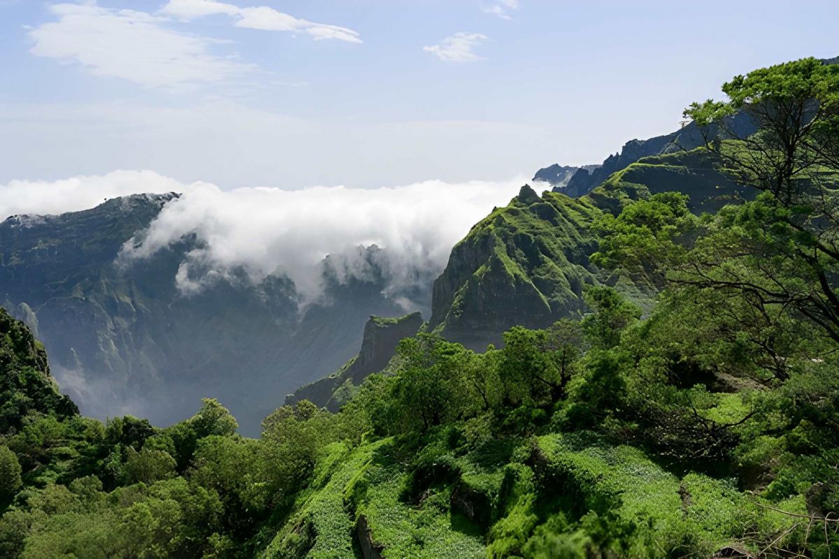 Cape Town & Stellenbosch