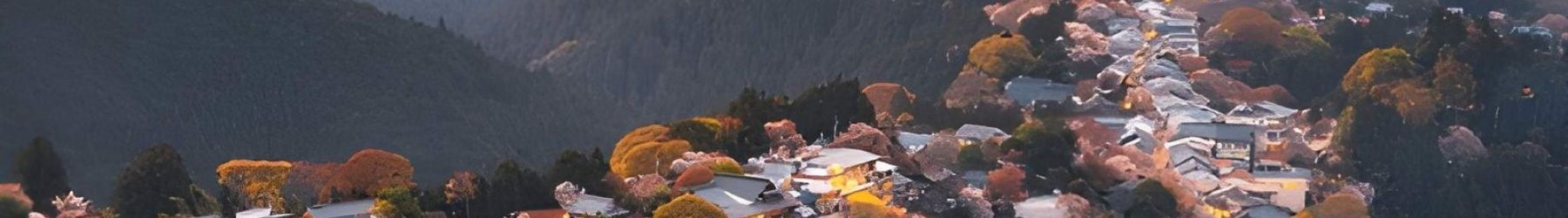 Japan Highlights: Tokyo, Hakone & Kyoto - 7 Nights