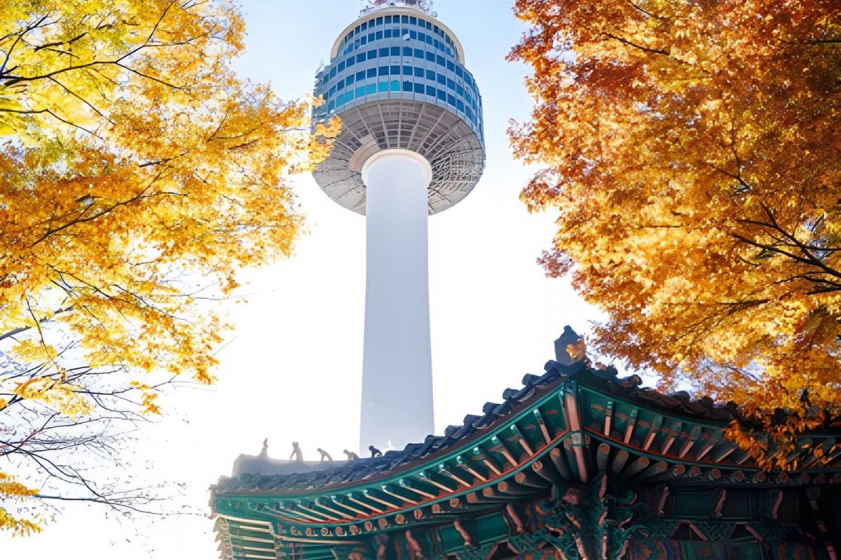 South Korea Highlights: 7-Night Seoul & Busan Getaway