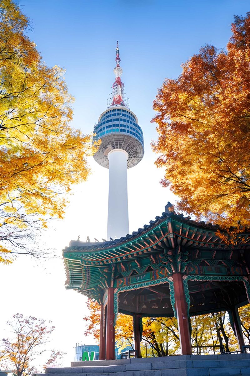 South Korea Highlights: 7-Night Seoul & Busan Getaway
