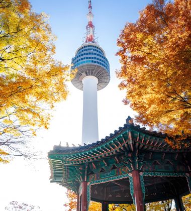 South Korea Highlights: 7-Night Seoul & Busan Getaway