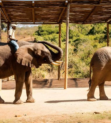 South African Vacation
