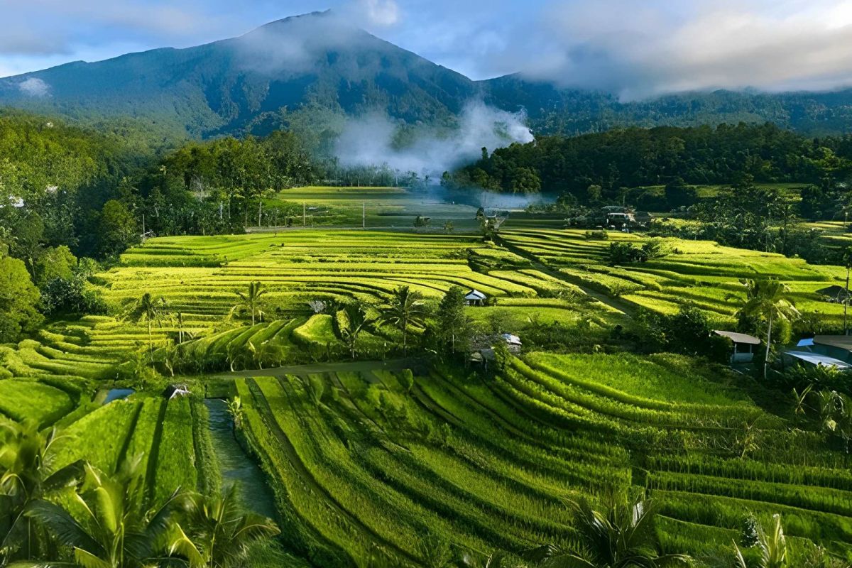 Japan & Indonesia