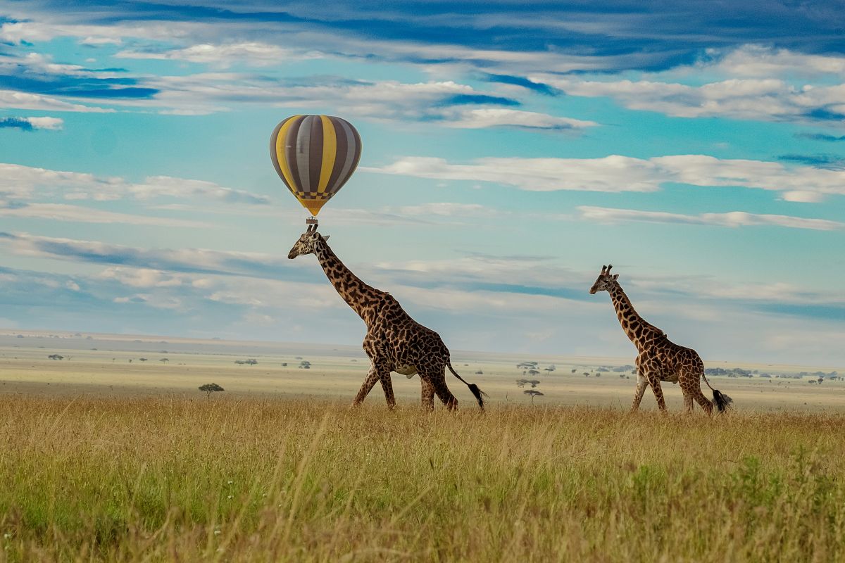 Kenya & Tanzania – 10 Nights