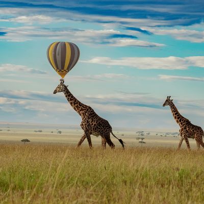 Kenya & Tanzania – 10 Nights