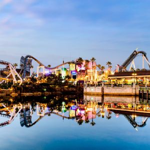 Theme Park Vacations