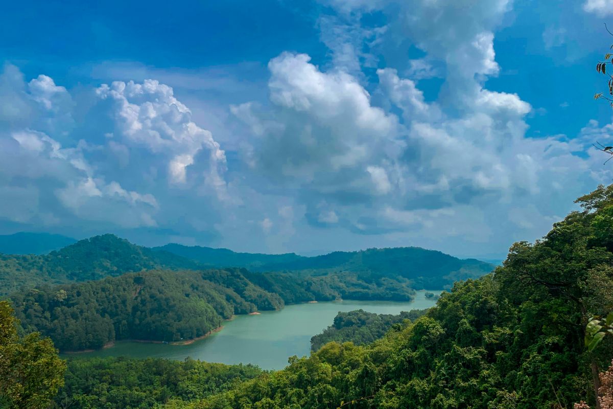 SINGAPORE BORNEO - 8N