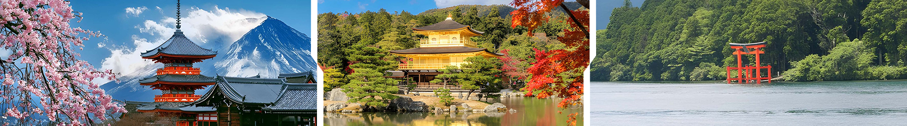 Japan Highlights: Tokyo, Hakone & Kyoto - 7 Nights