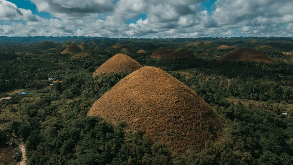 Bohol