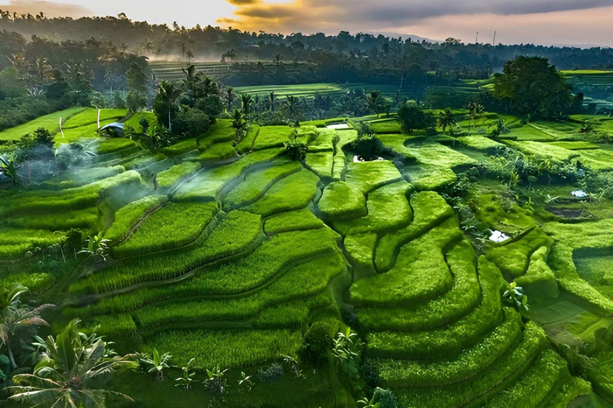 Bali Holiday