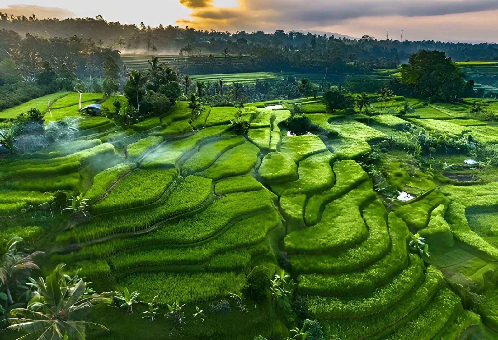 Bali Holiday