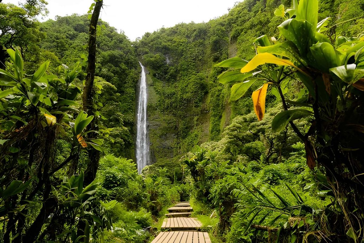 Discover Hawaii: Oahu & Maui – 8 Nights