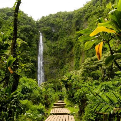 Discover Hawaii: Oahu & Maui – 8 Nights