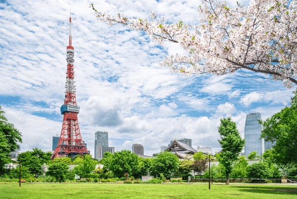 Tokyo Holiday