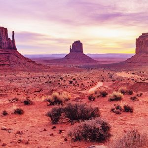 USA Vacations